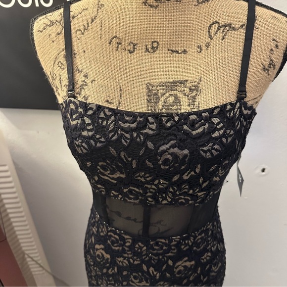 🆕Alexa B. Lace Dress - Picture 4 of 16